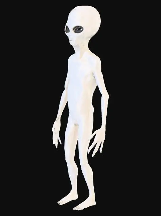 3D model for Extraterrestrial Encounter