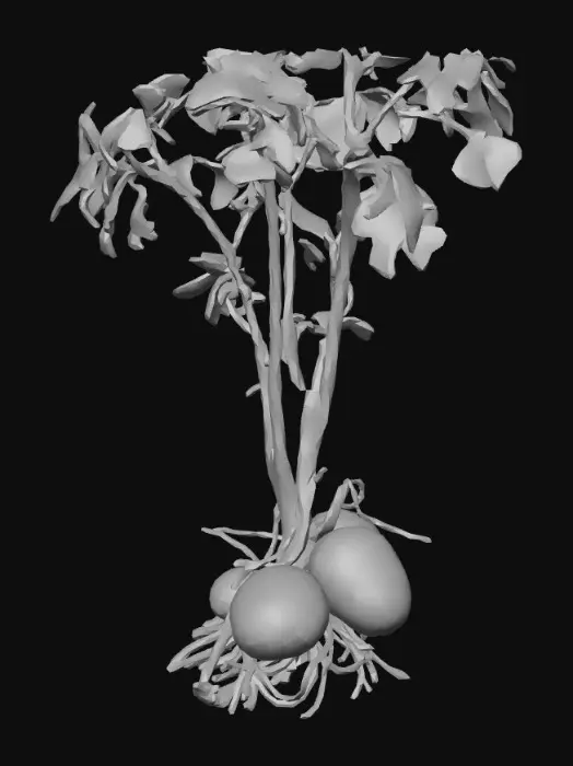 3D model for low poly tater