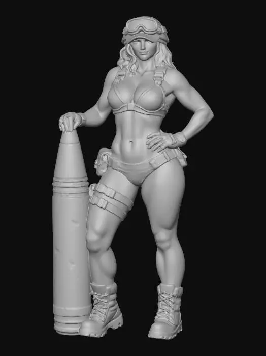 3D model for Artillery Reinforcement