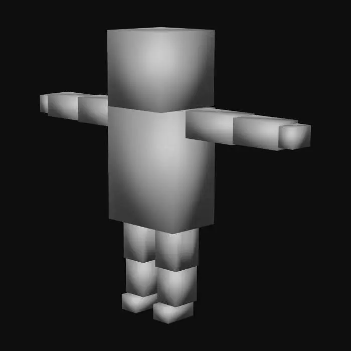 3D model for Player