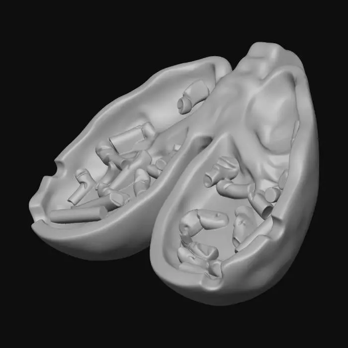 3D model for Lungs Full of Cigarettes