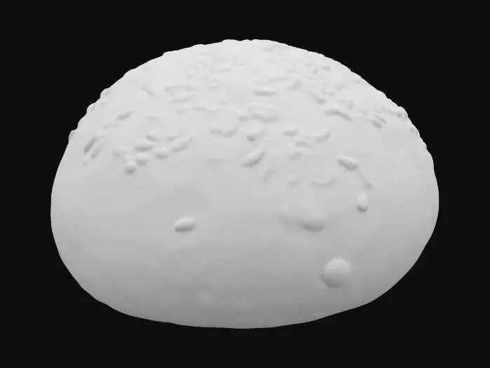 3D model for bun with sesame