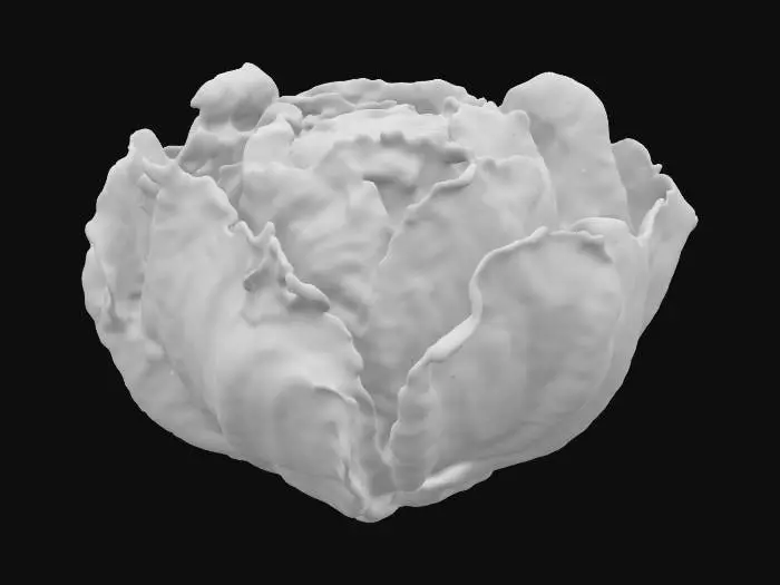 3D model for Lettuce