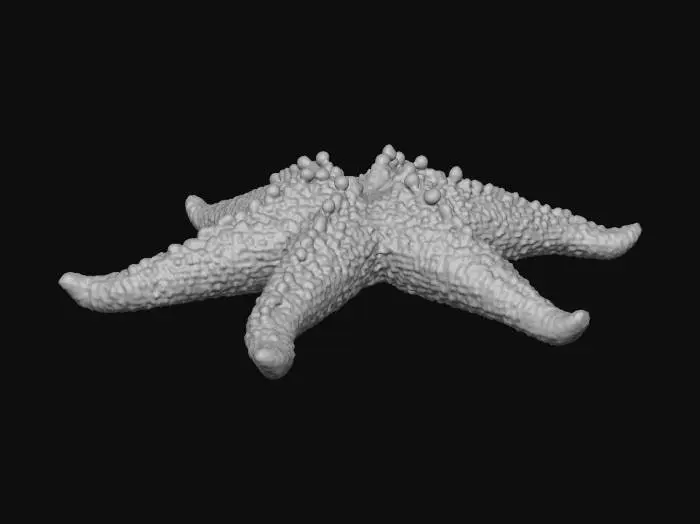3D model for starfish
