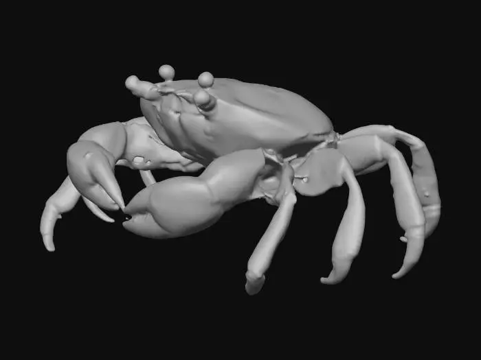 3D model for crab