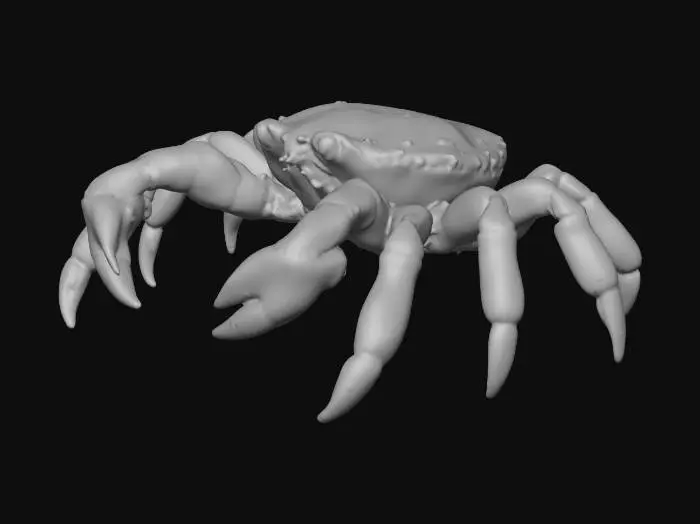 3D model for crab