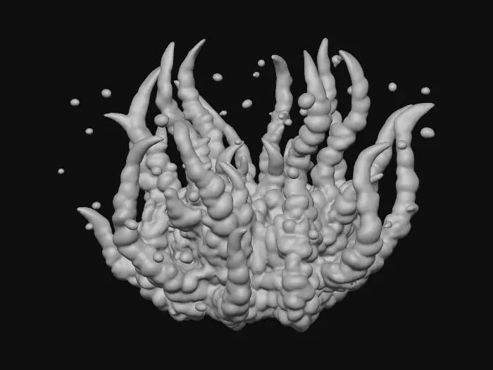 3D model for seaweed