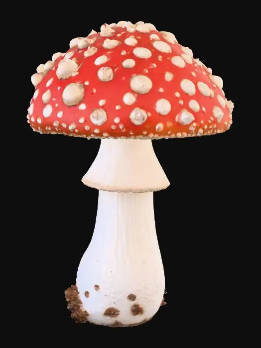 3D model for amanita muscaria