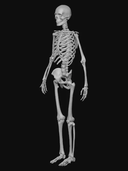 3D model for Floral Elegance