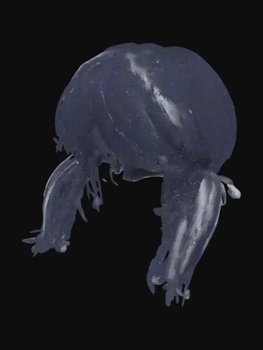 3D model for Midnight Twin Tails