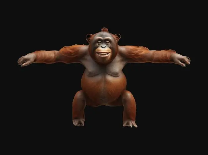 3D model for Art-Style: Pixar, ultra-realistic, Tapanuli Orangutan, 3D, Full Body, Arms outstretched, very-high quality, high resolution, ultra-high detailed, well lit.