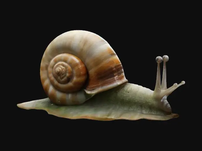 3D model for #garden#, Ultra Realistic, A bioluminescent creature resembling a snail, with a translucent spiraled shell that fades from deep green at the base to bright orange at the top, soft shimmering body , glowing trail. Two small thick delicate feelers glow softly, High-Detailed