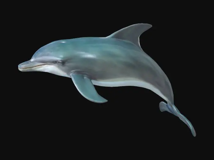 3D model for masterpice.ultra realistic Dolphin .sideview. detailed . realistic natural colors .well lit, #ocean#