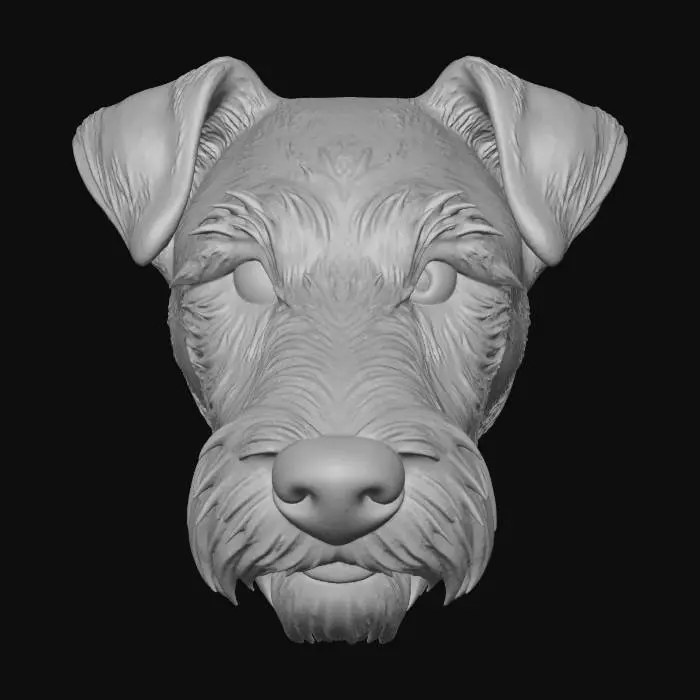 3D model for Wirehaired Terrier Illustration