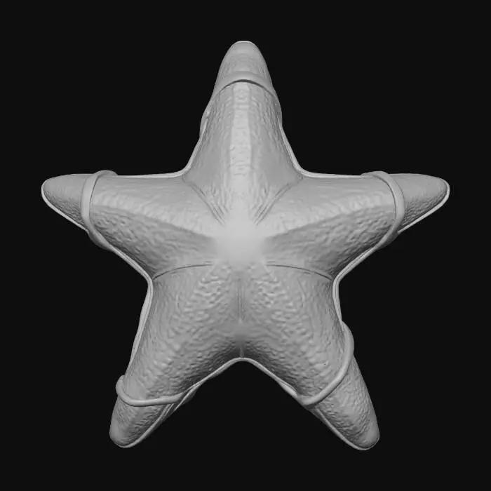 3D model for A Christmas starfish with BIG CUTE eyes, he is glowing with Christmas lights,
t-pose, #Christmas2025#