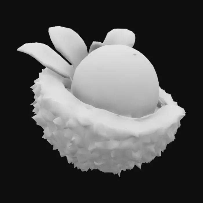 3D model for Fractured Lychee