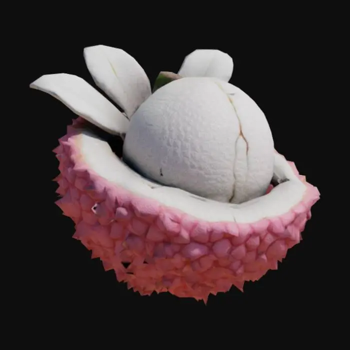 3D model for Fractured Lychee