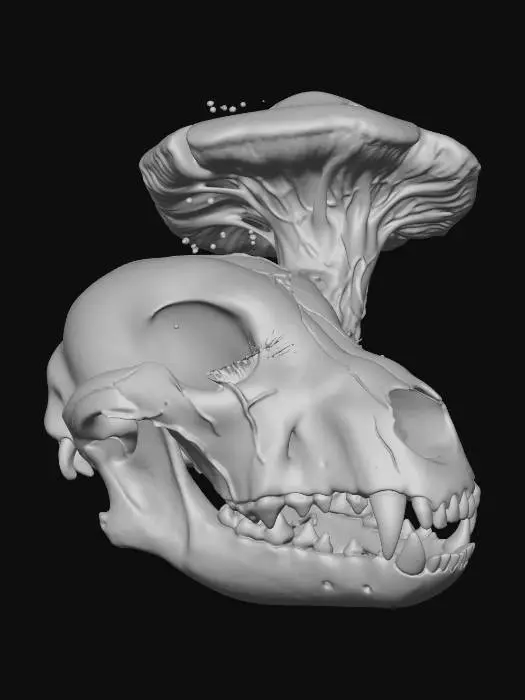 3D model for Fungal Crown