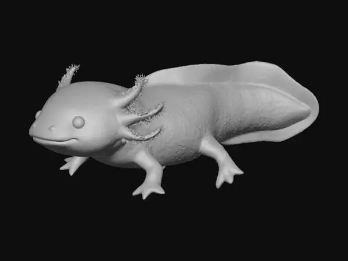 3D model for axolotl pink swimming