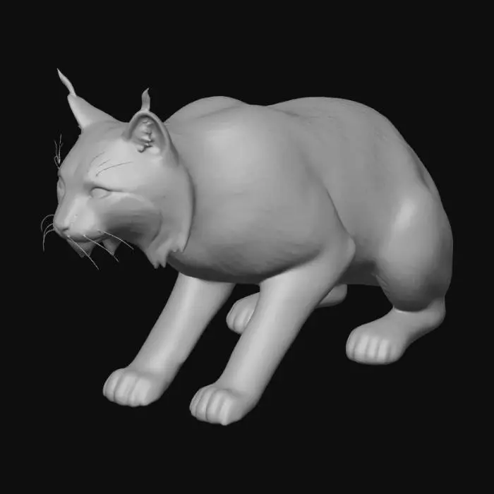3D model for lynx