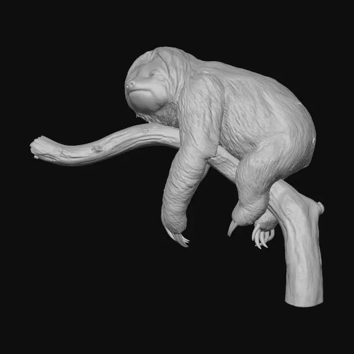 3D model for sloth