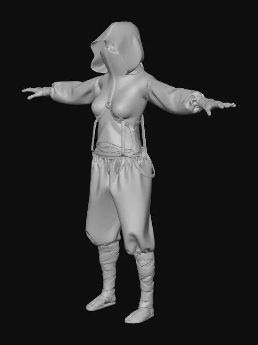 3D model for Stealth Warrior