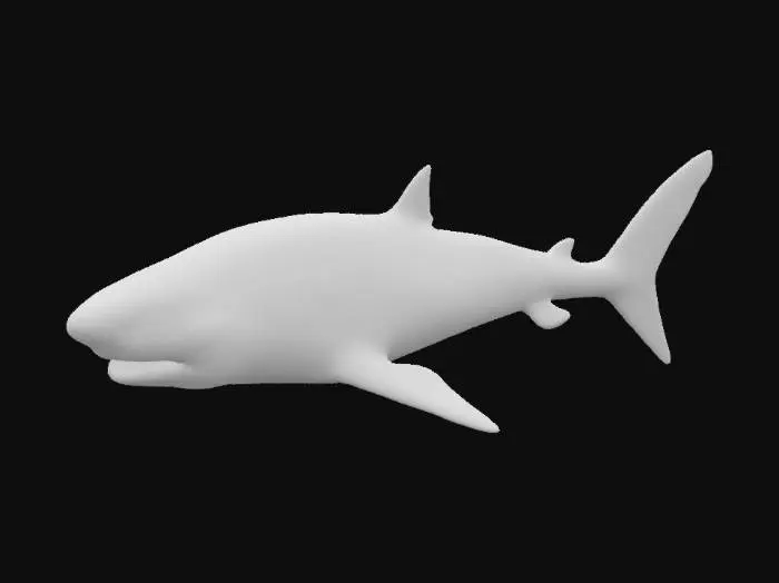 3D model for Hyper-realistic 3D model of a full-body great white shark. Skin texture should show realistic scarring, roughness, and ocean wear. Emphasize its powerful jaw structure, serrated teeth, and cold, reflective eyes. Natural grey top and white underside. Anatomically accurate fins and gills.