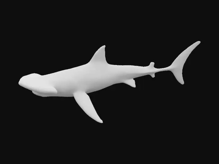 3D model for Photorealistic 3D model of a hammerhead shark with a wide, flat cephalofoil head, nostrils on the ends of the hammer, and detailed gill slits. Realistic skin texture with tiny dermal denticles visible. Greenish-brown upper skin, pale white underbelly.