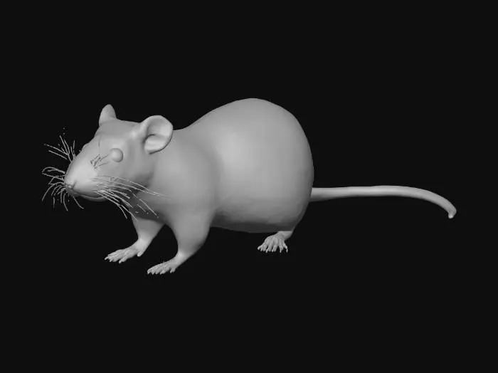 3D model for Whiskered Wonder