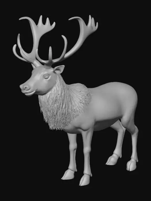 3D model for A majestic, realistic reindeer standing calmly, its robust body covered in thick, coarse brown and grey fur with a soft white underbelly. It features large, bony antlers with a rugged texture, sharp points, and a wide span. Its muzzle is dark and leathery, and its slender legs end in hard, cloven hooves, conveying strength and a gentle, alert expression.