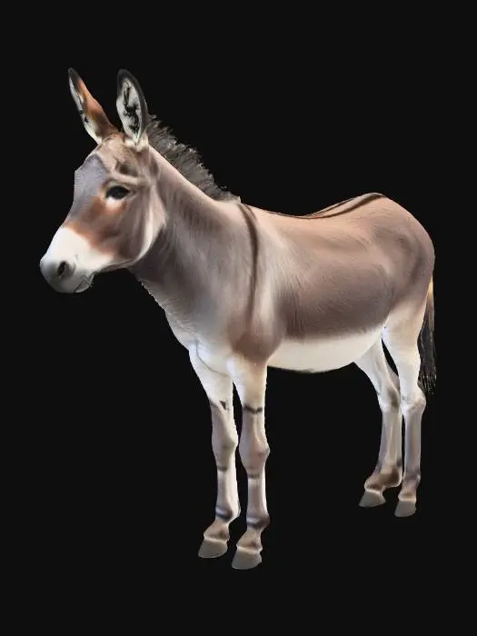 3D model for #Christmas2025#,  Donkey