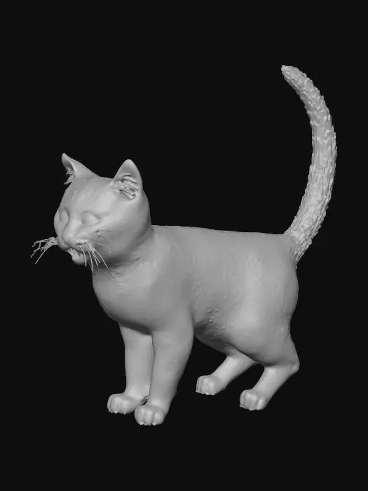 3D model for kitten