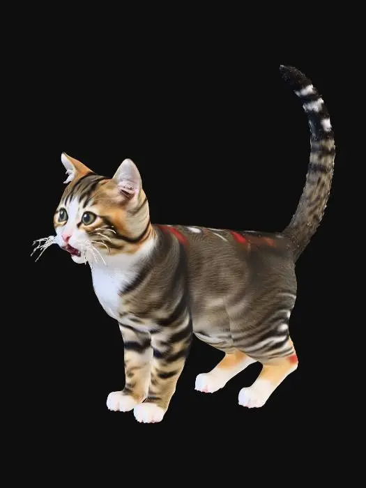 3D model for kitten