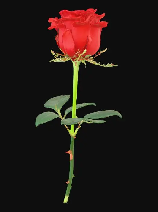 3D model for Eternal Bloom