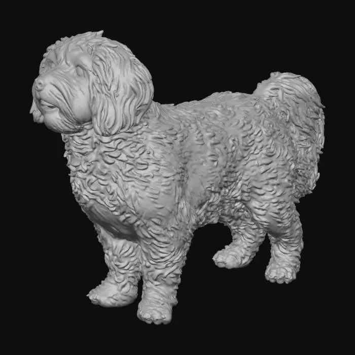 3D model for Fluffy Paws