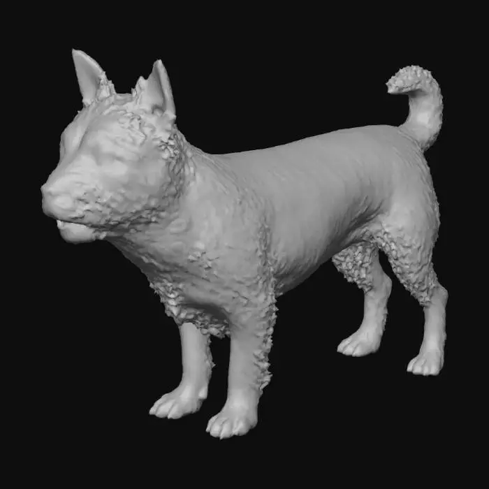 3D model for Playful Terrier