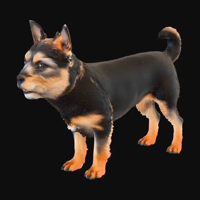 3D model for Playful Terrier