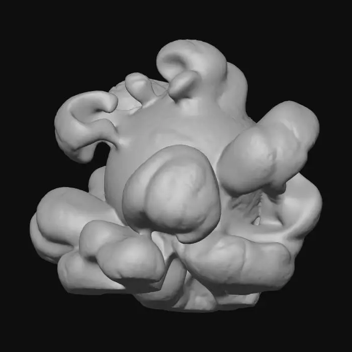 3D model for Popcorn