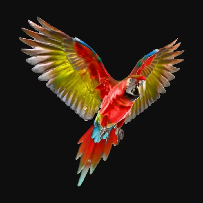 3D model for Scarlet Macaw in Flight