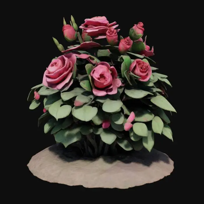 3D model for lush isometric rose bush featuring blooming flowers and new buds, #garden#