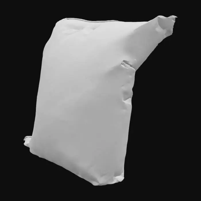 3D model for Bag on a Street