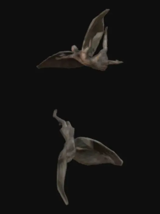 3D model for dedalo_e_icaro