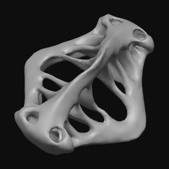 3D model for Corrupted Polymer