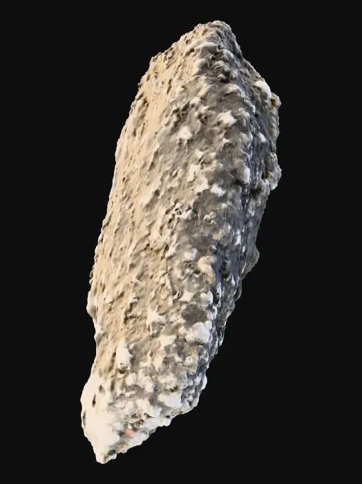 3D model for Rock