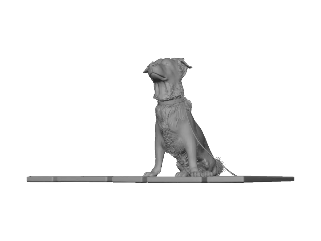 watchful
