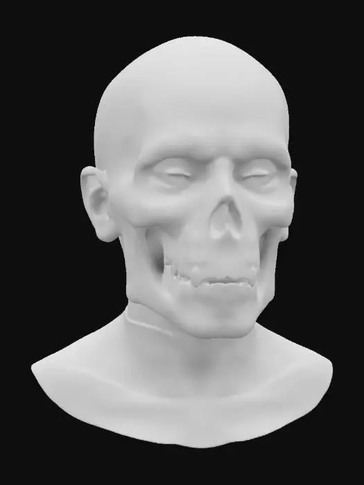 3D model for Porcelain Phantasm