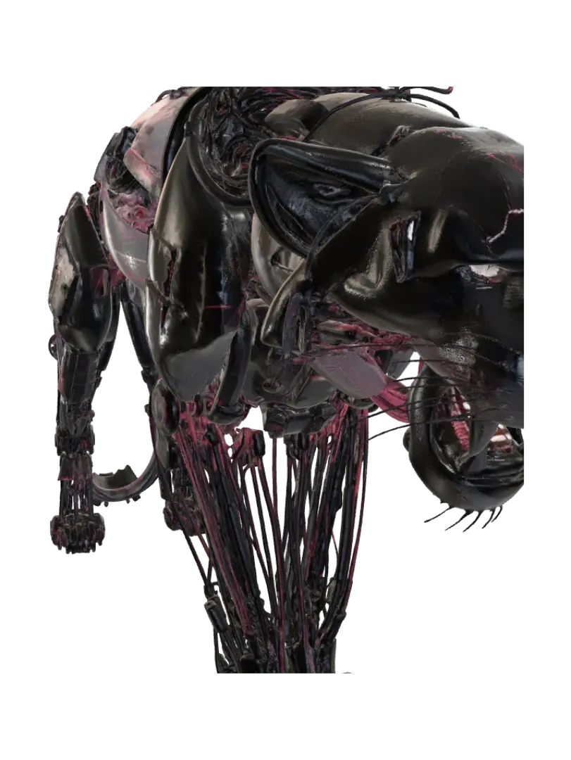 biomechanical