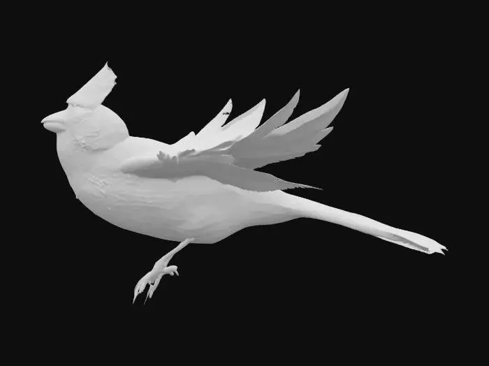 3D model for A Northern Cardinal flying, holding a twig in between its beak