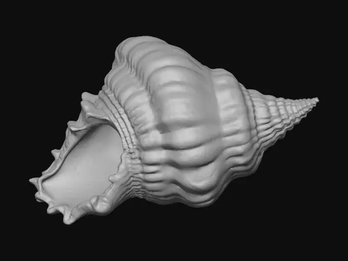 3D model for A colossal, intricately detailed conch shell serves as a tranquil resting place. Its exterior boasts warm, sun-bleached cream and sandy beige tones with subtle pink and orange striations, displaying a rough, organic texture with pronounced ridges. The interior curves smoothly, revealing a pearlescent sheen and softer, cooler blue-grey hues.