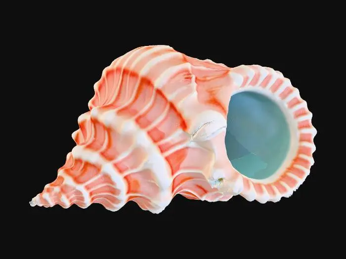 3D model for A colossal, intricately detailed conch shell serves as a tranquil resting place. Its exterior boasts warm, sun-bleached cream and sandy beige tones with subtle pink and orange striations, displaying a rough, organic texture with pronounced ridges. The interior curves smoothly, revealing a pearlescent sheen and softer, cooler blue-grey hues.